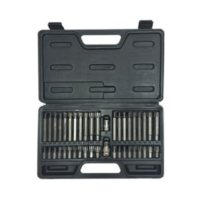 RIBE/TORX BITFEJ SZETT - CR-VA-S2 - 42 DB
